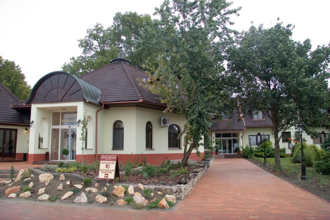 Hotel Fortuna Dávod Екстериор снимка